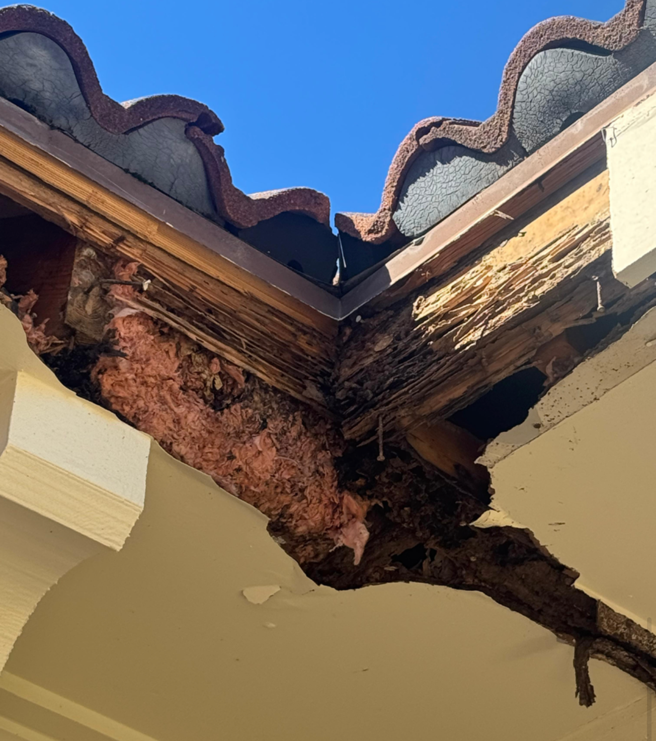 Severe wood rot in a roof valley of a Kansas City area home before repair